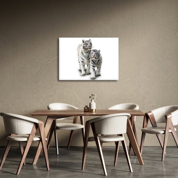 Obraz - Biely tiger (70x50 cm)