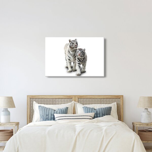 Obraz - Biely tiger (90x60 cm)