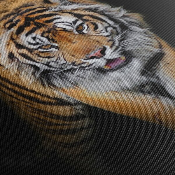 Obraz - Tiger (90x60 cm)