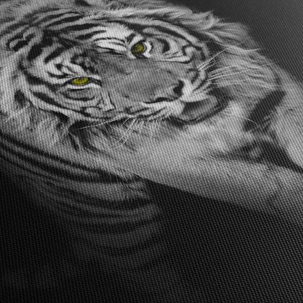 Obraz - Tiger so žltými očami (120x50 cm)