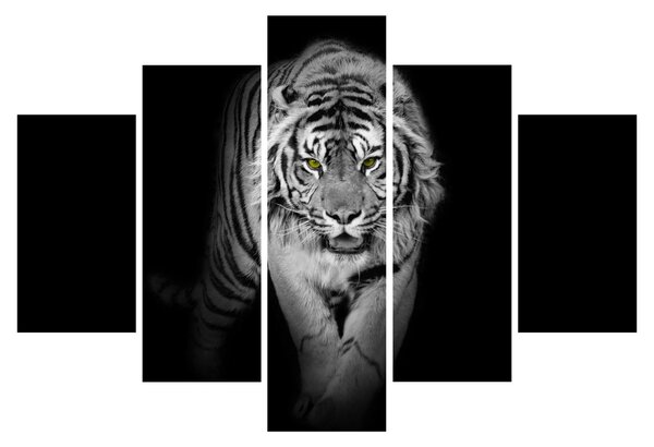 Obraz - Tiger so žltými očami (150x105 cm)