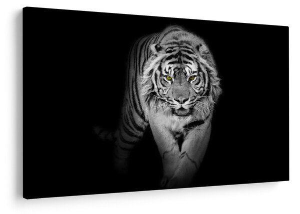 Obraz - Tiger so žltými očami (90x60 cm)