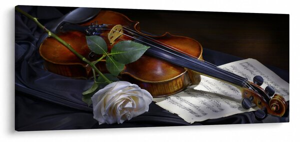 Obraz - Ruže a husle (120x50 cm)