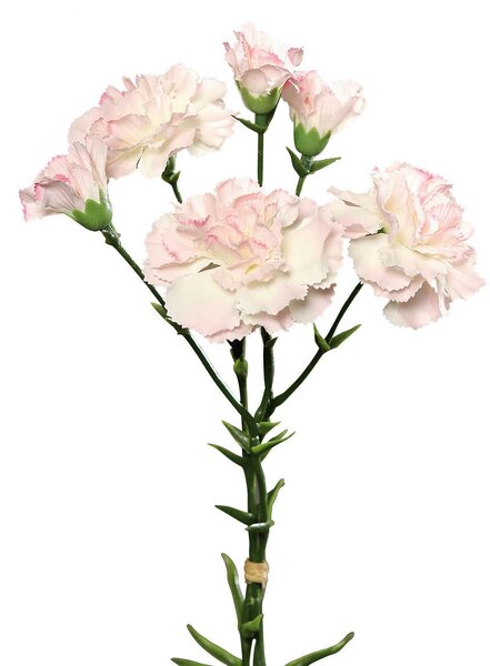 UMELÝ KVET karafiát 30 cm - Kvety & kvetináče