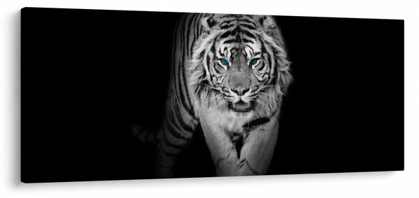 Obraz - Tiger s modrými očami (120x50 cm)