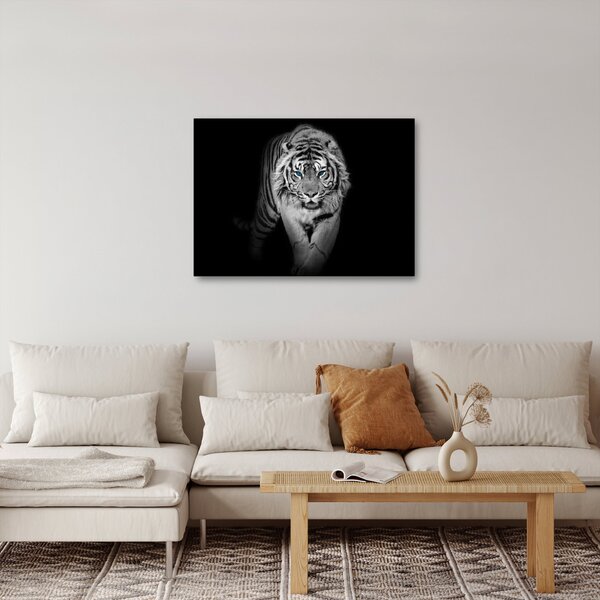 Obraz - Tiger s modrými očami (70x50 cm)