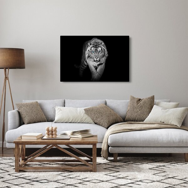 Obraz - Tiger s modrými očami (90x60 cm)