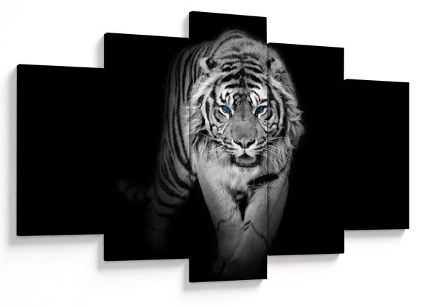 Obraz - Tiger s modrými očami (150x105 cm)