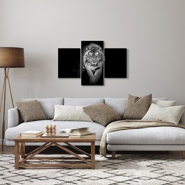 Obraz - Tiger s modrými očami (90x60 cm)
