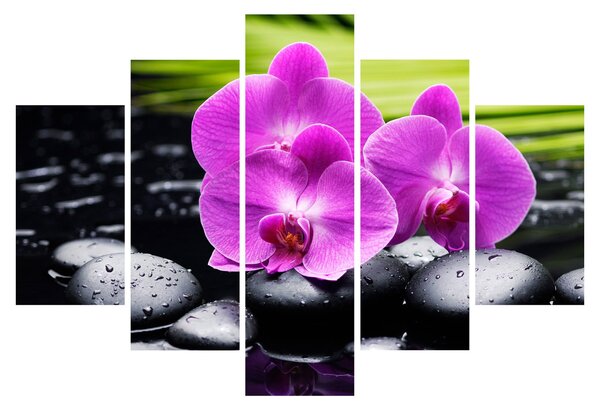 Obraz - Orchidey (150x105 cm)