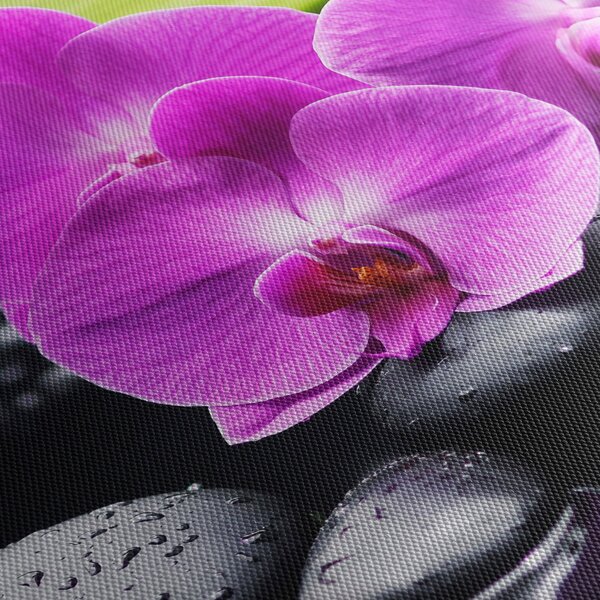 Obraz - Orchidey (90x60 cm)