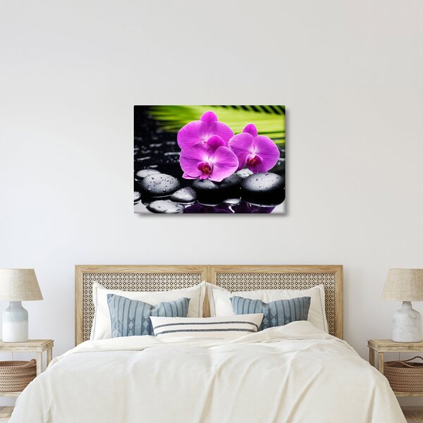 Obraz - Orchidey (70x50 cm)