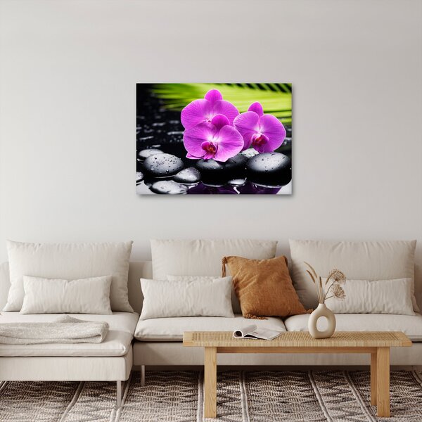 Obraz - Orchidey (70x50 cm)