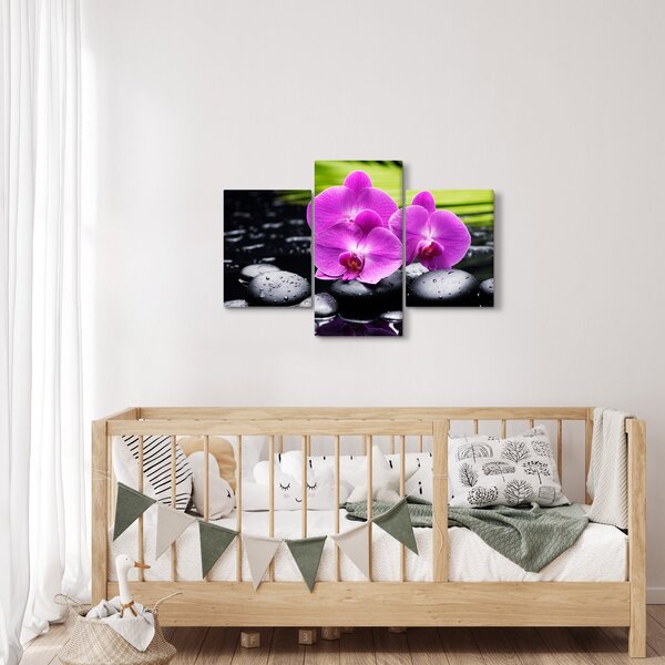 Obraz - Orchidey (90x60 cm)