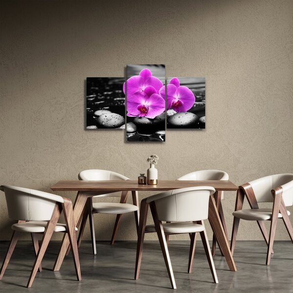 Obraz - Fialové orchidey (90x60 cm)