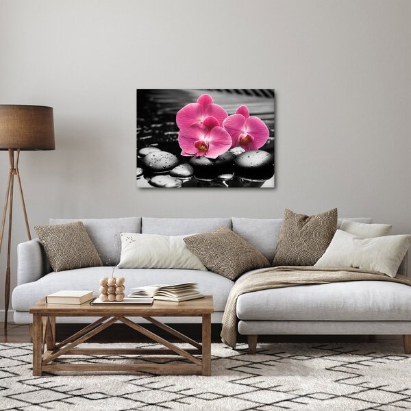 Obraz - Ružové orchidey (70x50 cm)