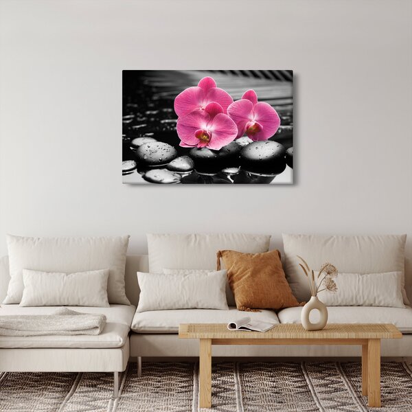 Obraz - Ružové orchidey (90x60 cm)