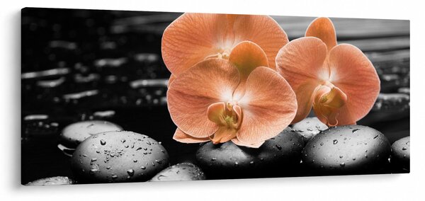 Obraz - Oranžové orchidey (120x50 cm)