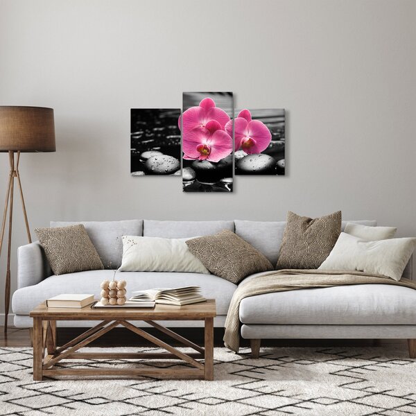 Obraz - Ružové orchidey (90x60 cm)