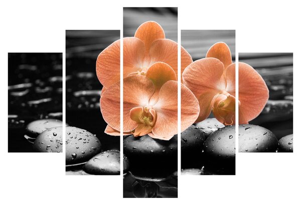 Obraz - Oranžové orchidey (150x105 cm)