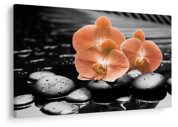 Obraz - Oranžové orchidey (90x60 cm)