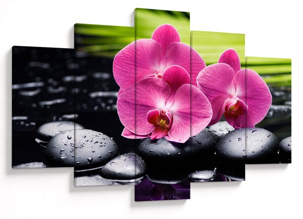 Obraz - Ružové orchidey s palmovým listom (150x105 cm)