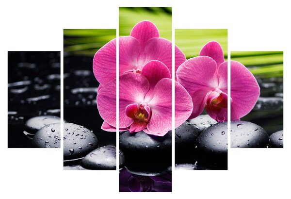Obraz - Ružové orchidey s palmovým listom (150x105 cm)