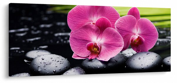 Obraz - Ružové orchidey s palmovým listom (120x50 cm)