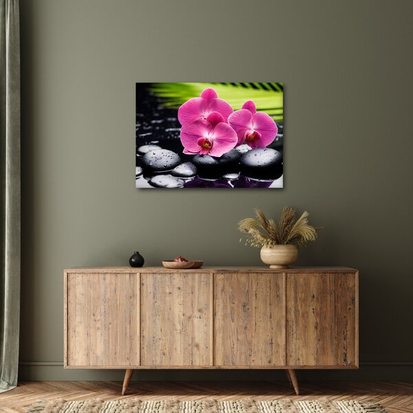 Obraz - Ružové orchidey s palmovým listom (70x50 cm)