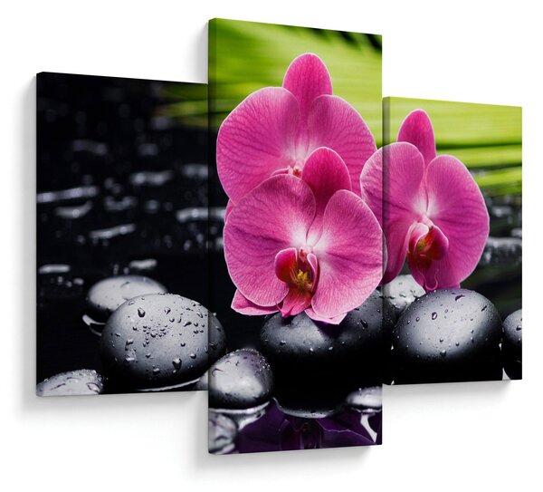 Obraz - Ružové orchidey s palmovým listom (90x60 cm)