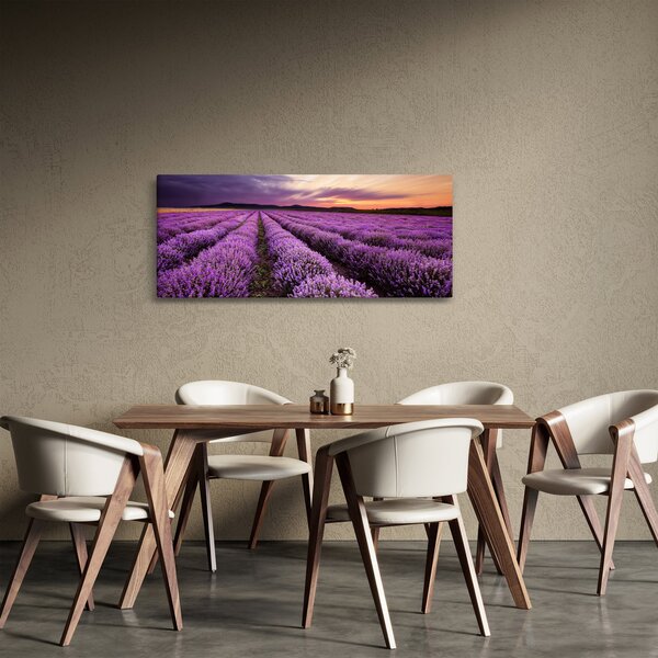 Obraz - Levanduľové pole pri západe slnka (120x50 cm)