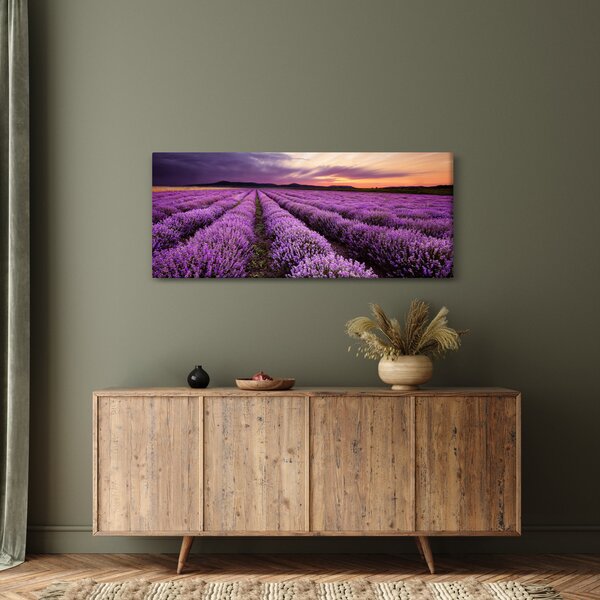 Obraz - Levanduľové pole pri západe slnka (120x50 cm)