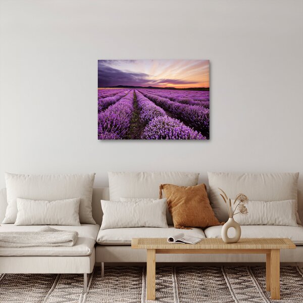 Obraz - Levanduľové pole pri západe slnka (70x50 cm)