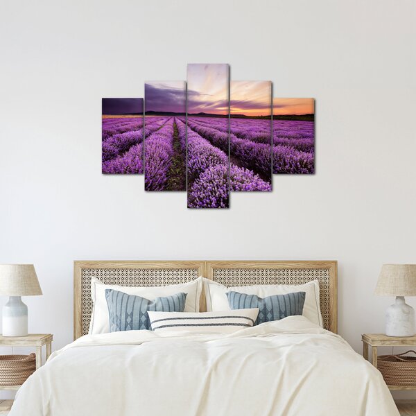 Obraz - Levanduľové pole pri západe slnka (150x105 cm)