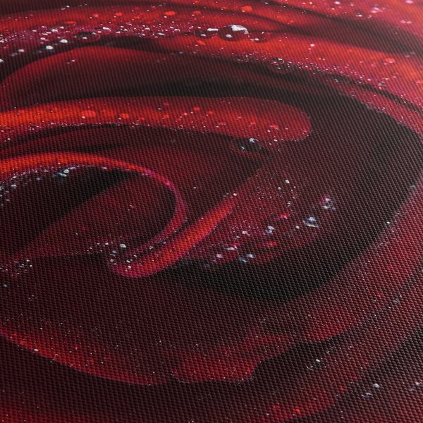 Obraz - Červená ruža s kvapkami rosy (90x60 cm)