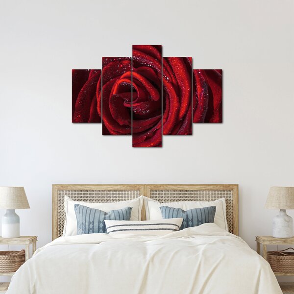 Obraz - Červená ruža s kvapkami rosy (150x105 cm)