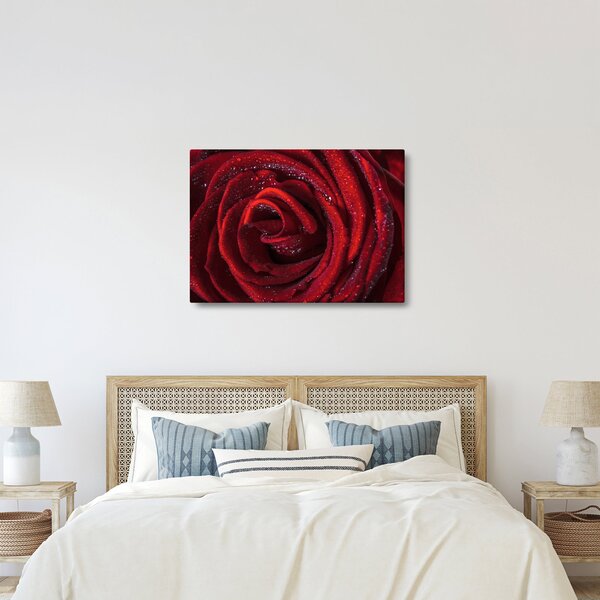 Obraz - Červená ruža s kvapkami rosy (70x50 cm)