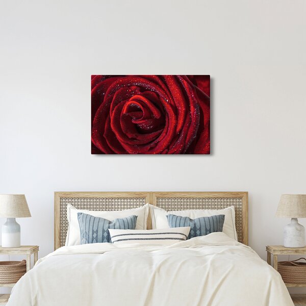 Obraz - Červená ruža s kvapkami rosy (90x60 cm)