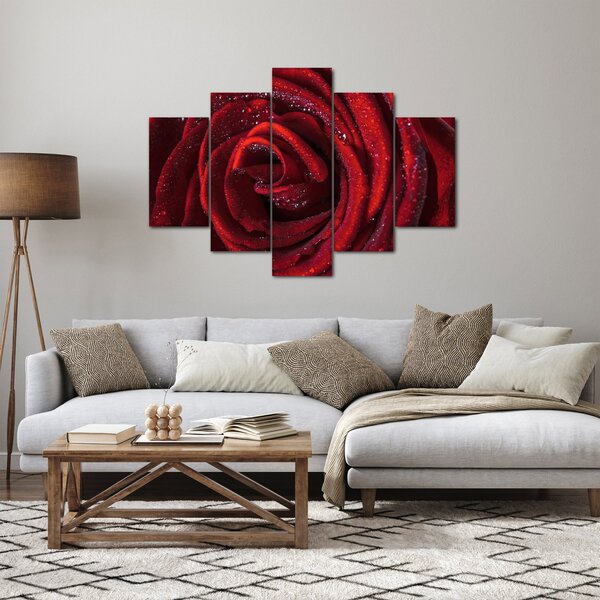 Obraz - Červená ruža s kvapkami rosy (150x105 cm)