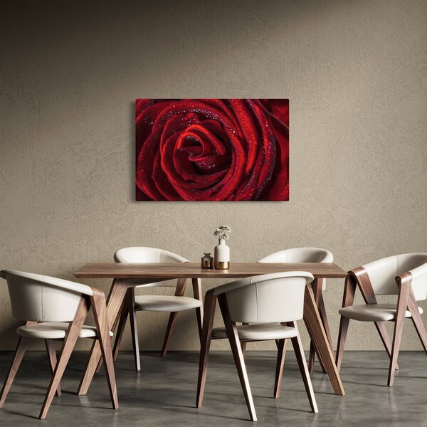 Obraz - Červená ruža s kvapkami rosy (90x60 cm)