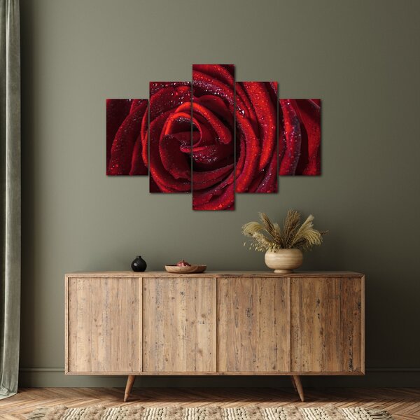 Obraz - Červená ruža s kvapkami rosy (150x105 cm)