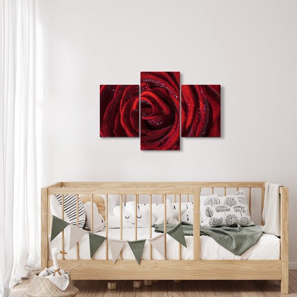 Obraz - Červená ruža s kvapkami rosy (90x60 cm)