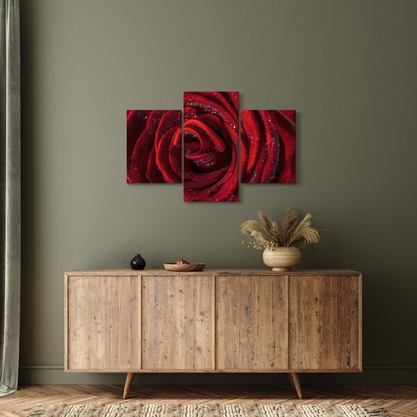 Obraz - Červená ruža s kvapkami rosy (90x60 cm)