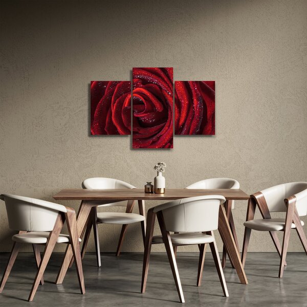 Obraz - Červená ruža s kvapkami rosy (90x60 cm)