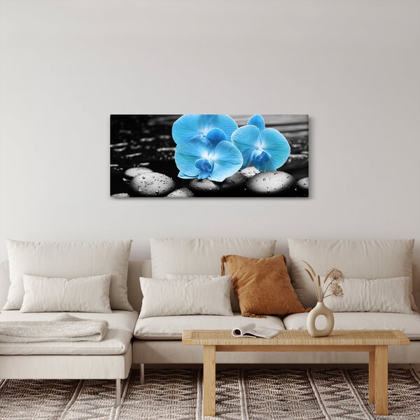 Obraz - Modrá orchidea (120x50 cm)