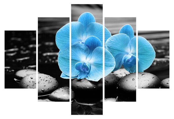 Obraz - Modrá orchidea (150x105 cm)
