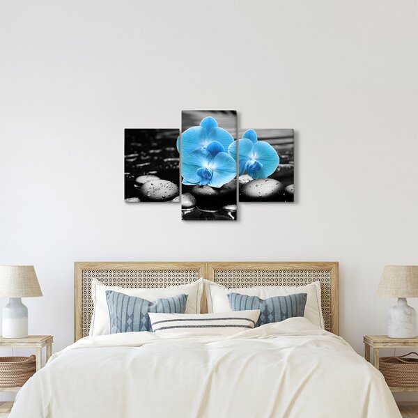 Obraz - Modrá orchidea (90x60 cm)