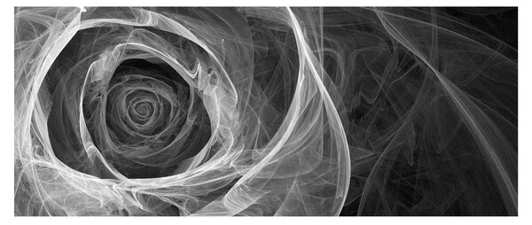 Obraz - Abstraktné ruže čiernobiela (120x50 cm)