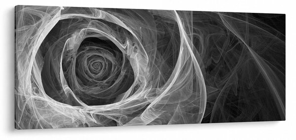Obraz - Abstraktné ruže čiernobiela (120x50 cm)