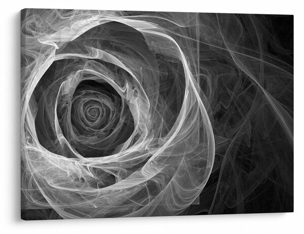 Obraz - Abstraktné ruže čiernobiela (70x50 cm)
